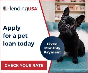 finance, financing, puppy, puppies for sale, puppies, puppy for sale, finance puppy, lending usa, lendingusa finance